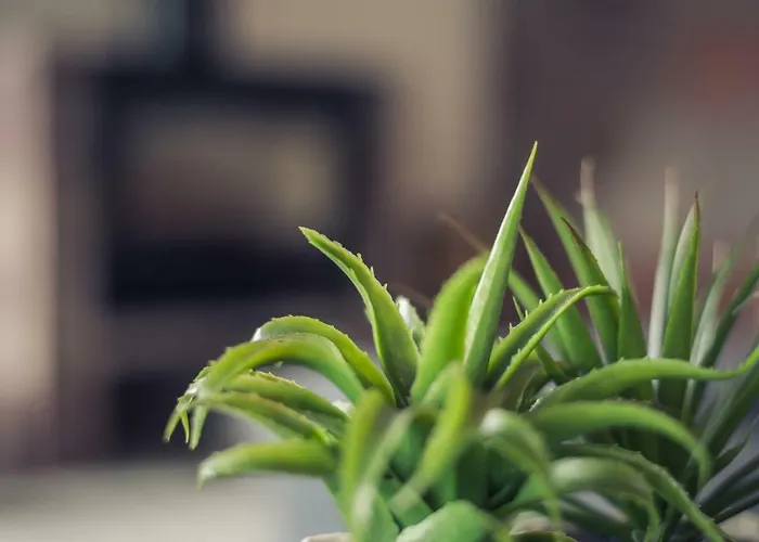 Villa Mariense Vila do Porto